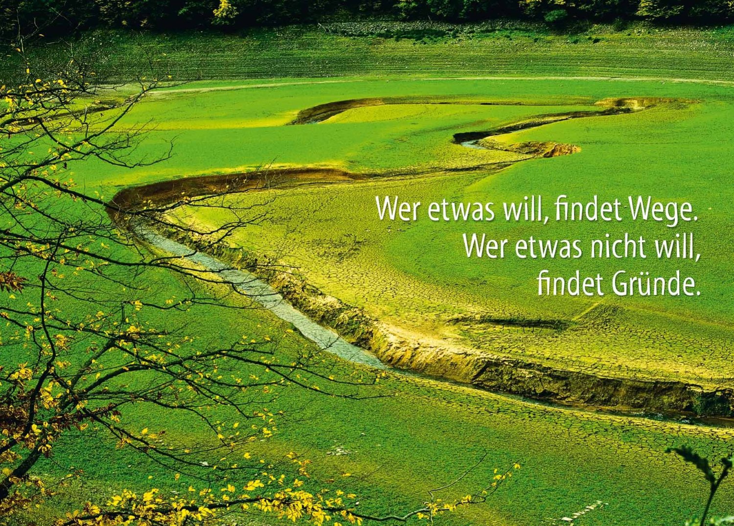 Wer etwas will
