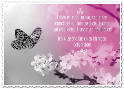 Leben ist nicht genug, sagte der Schmetterling. Sonnenschein, Freiheit und eine kleine Blume muss man auch haben. Hans Christian Andersen