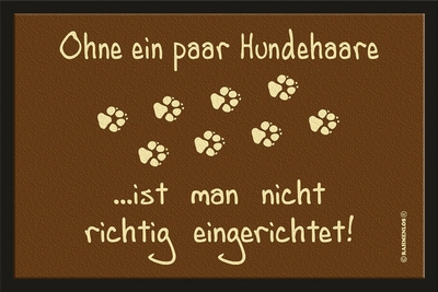 Ohne Hundehaare ist man nicht richtig eingerichtet