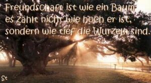 Eine Freundschaft ist wie ein Baum: Es zählt nicht, wie hoch er ist, sondern wie tief seine Wurzeln reichen.