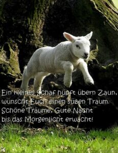 Ein kleines Schaf hüpft übern Zaun, wünscht dir einen süßen Traum. Schöne Träume, Gute Nacht bis das Morgenlicht erwacht!