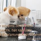 Wer morgens zerknittert aufsteht, hat den ganzen Tag über viele Entfaltungsmöglichkeiten. Heinz Rühmann