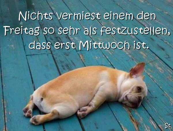 Nichts vermiest einen Donnerstag  so sehr als festzustellen, dass erst Mittwoch ist!