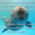 Verschenke immer ein Lächeln ... Denn viele Menschen werden eines Tages vergessen was du gesagt hast. Aber sie werden niemals vergessen, wie sie sich in deiner Gegenwart gefühlt haben ...