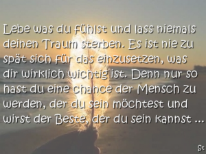 Lebe was du fühlst und lass niemals deinen Traum sterben. Es ist nie zu spät sich für das einzusetzen, was dir wirklich wichtig ist. Denn nur so hast du eine Chance der Mensch zu werden, der du sein möchtest und wirst der Beste, der du sein kannst ...