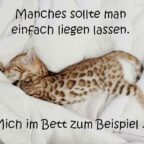 Manches sollte man einfach liegen lassen. Mich im Bett zum Beispiel ...