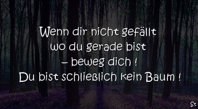 Bäume Zitate, Sprüche, Gedichte und Texte spruechetante.de