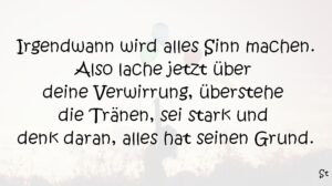 Irgendwann wird alles Sinn machen. Also lache jetzt über deine Verwirrung, überstehe die Tränen, sei stark und denk daran alles hat seinen Grund.