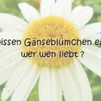 Woher wissen Gänseblümchen eigentlich, wer wen liebt ???