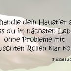 Behandle dein Haustier so, dass du im nächsten Leben ohne Probleme mit vertauschten Rollen klar kommst.