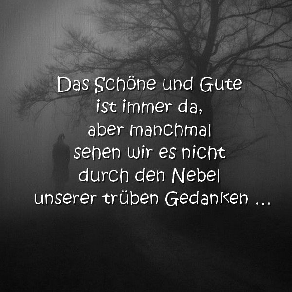 Das Schöne und Gute ist immer da, aber manchmal sehen wir es nicht