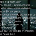 Ich habe in diesem Jahr : Gelacht, geweint, gelebt und geliebt... Vieles akzeptiert, Vieles verziehen und selbst Fehler gemacht... Leute kennengelernt, die mir nun wichtig sind, aber auch Leute aus meinem Leben geschmissen, die es nicht wert waren. Aus Erfahrungen gelernt und auch Manches bereut. Aber all das, ist Teil des Menschen, der ich heute bin.