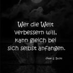 Wer die Welt verbessern will, kann gleich bei sich selbst anfangen Pearl S. Buck
