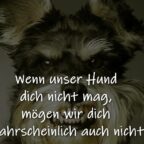 Wenn unser Hund dich nicht mag, mögen wir dich wahrscheinlich auch nicht.