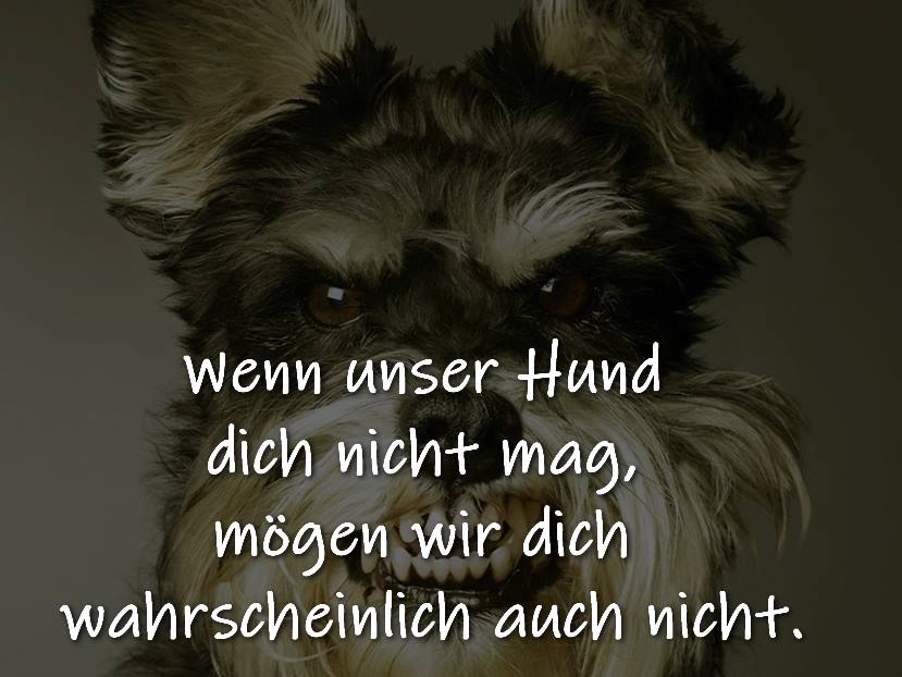 Tiersprüche, Tierzitate, Tiergedichte spruechetante.de