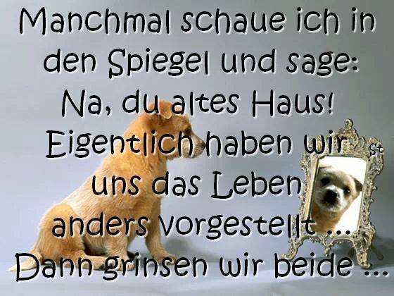 Lustige Spruchbilder