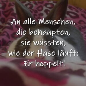 An alle Menschen, die behaupten, sie wüssten, wie der Hase läuft: Er hoppelt!