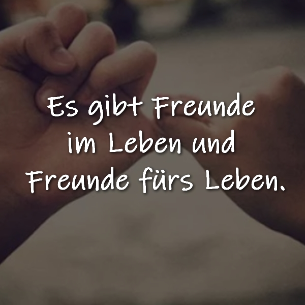 Freundschaft Schöne Sprüche, Zitate, Weisheiten, kurze Gedichte