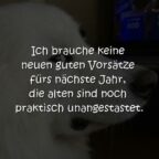 Ich brauche keine neuen guten Vorsätze. Die alten sind noch praktisch unangetastet