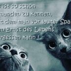 Es ist so schön jemanden zu kennen bei dem man vor lauter Spaß den Ernst des Lebens vergessen kann.