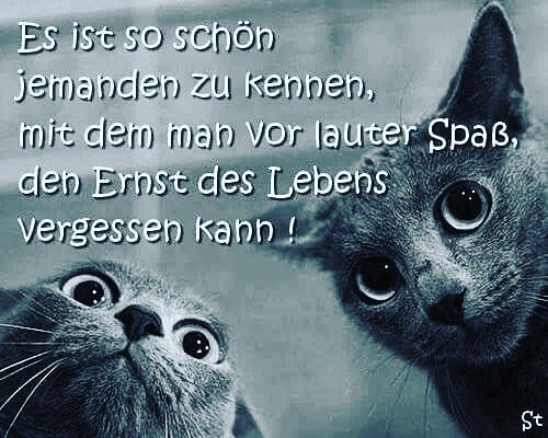 Spaß Zitate, Sprüche, Gedichte und Texte spruechetante.de