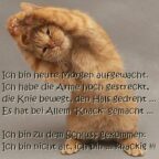 Guten Morgen Ich bin heute Morgen aufgewacht. Habe die Arme hoch gestreckt, die Knie bewegt, den Hals gedreht… Es hat bei Allem „KNACK“ gemacht… Ich bin zu dem Schluss gekommen Ich bin nicht alt, ich bin… knackig!.jpg