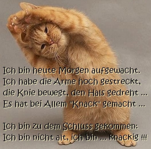 Guten Morgen Ich bin heute Morgen aufgewacht. Habe die Arme hoch gestreckt, die Knie bewegt, den Hals gedreht… Es hat bei Allem „KNACK“ gemacht… Ich bin zu dem Schluss gekommen Ich bin nicht alt, ich bin… knackig!.jpg