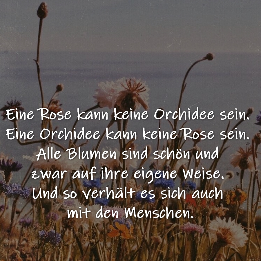 Eine Rose kann keine Orchidee sein. Eine Orchidee kann keine Rose sein. Alle Blumen sind schön und zwar auf ihre eigene Weise. Und so verhält es sich auch mit den Menschen. 