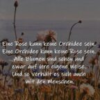 Eine Rose kann keine Orchidee sein. Eine Orchidee kann keine Rose sein. Alle Blumen sind schön und zwar auf ihre eigene Weise. Und so verhält es sich auch mit den Menschen.
