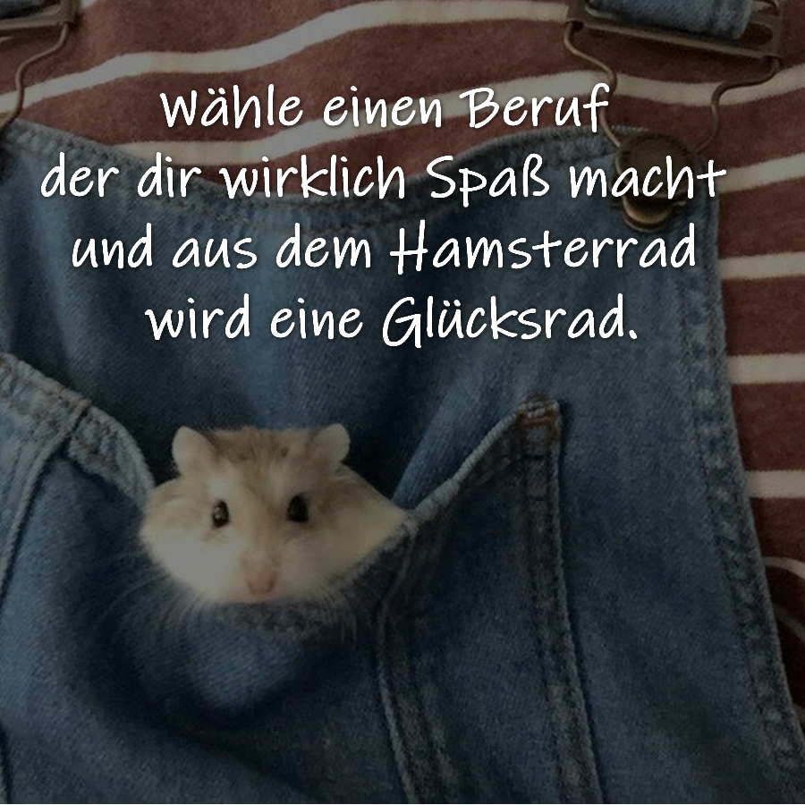 Wähle einen Beruf der dir wirklich Spaß macht und aus dem Hamsterrad wird eine Glücksrad.