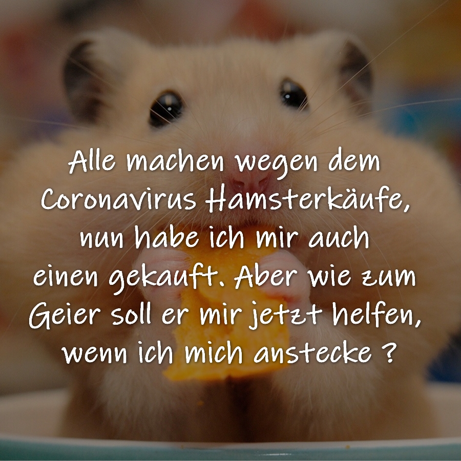 Alle machen wegen dem Coronavirus Hamsterkäufe, nun habe ich mir auch einen gekauft. Aber wie zum Geier soll er mir jetzt helfen, wenn ich mich anstecke ?