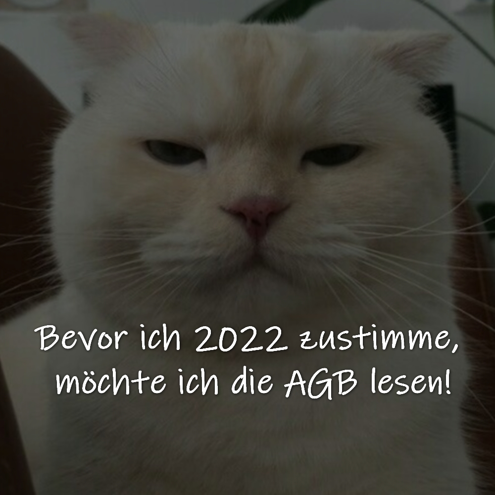 Bevor ich 2022 zustimme, möchte ich die AGB lesen!