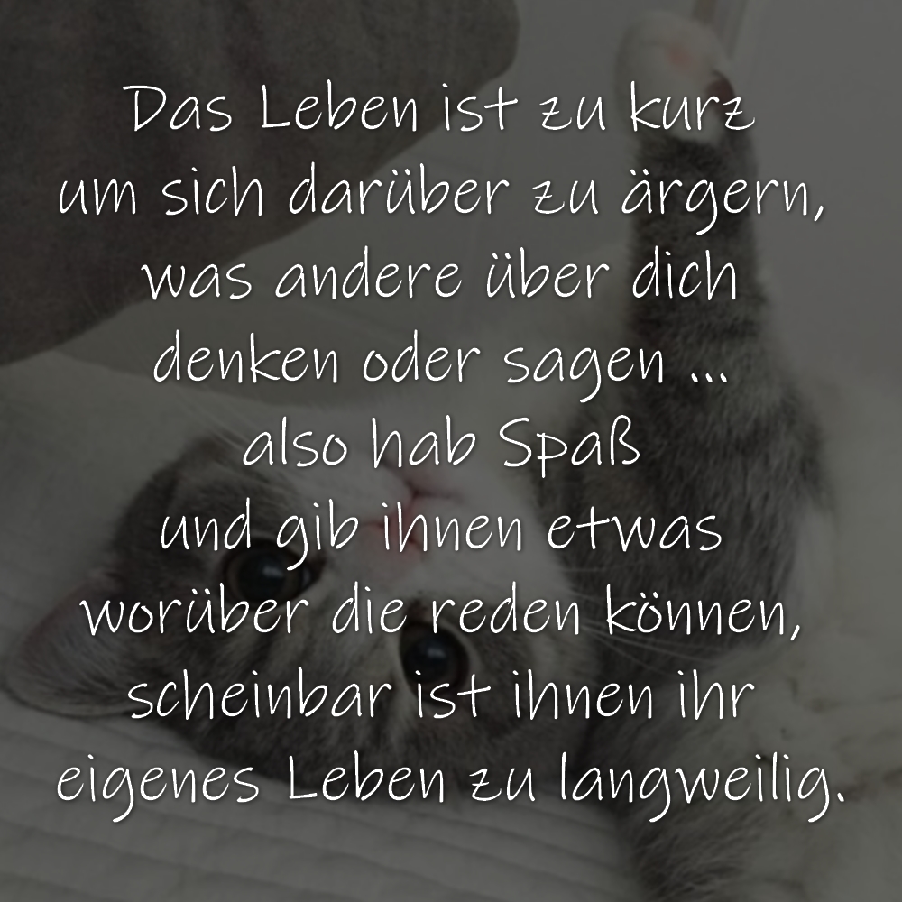 Leben kurz status sprüche