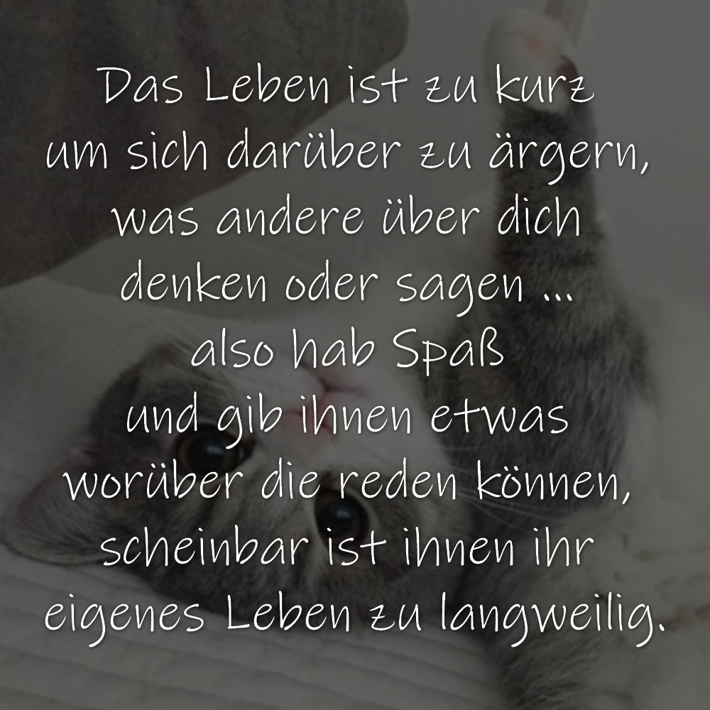 Spruchbilder Das Leben ist zu kurz 
um sich darüber zu ärgern, 
was andere über dich 
denken oder sagen ... 
also hab Spaß 
und gib ihnen etwas 
worüber die reden können, 
scheinbar ist ihnen ihr 
eigenes Leben zu langweilig.