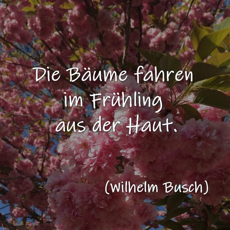 Frühling Frühlingsgedichte Frühlingszitate Frühlingssprüche