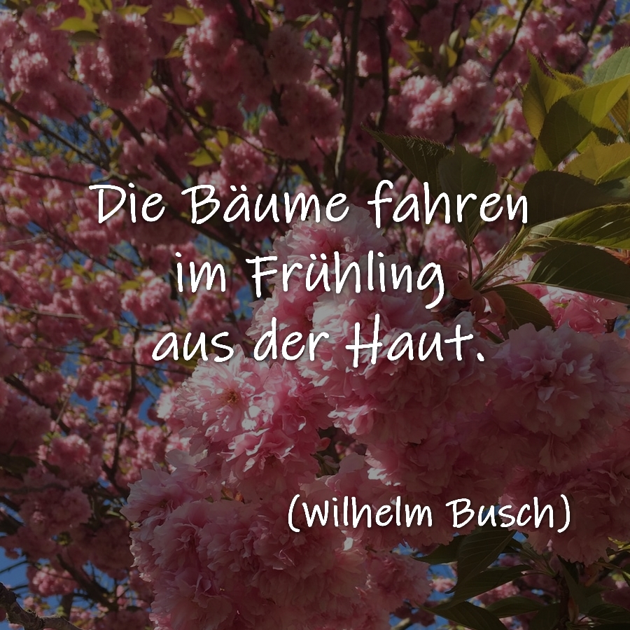 Die Bäume fahren im Frühling aus der Haut.

Wilhelm Busch