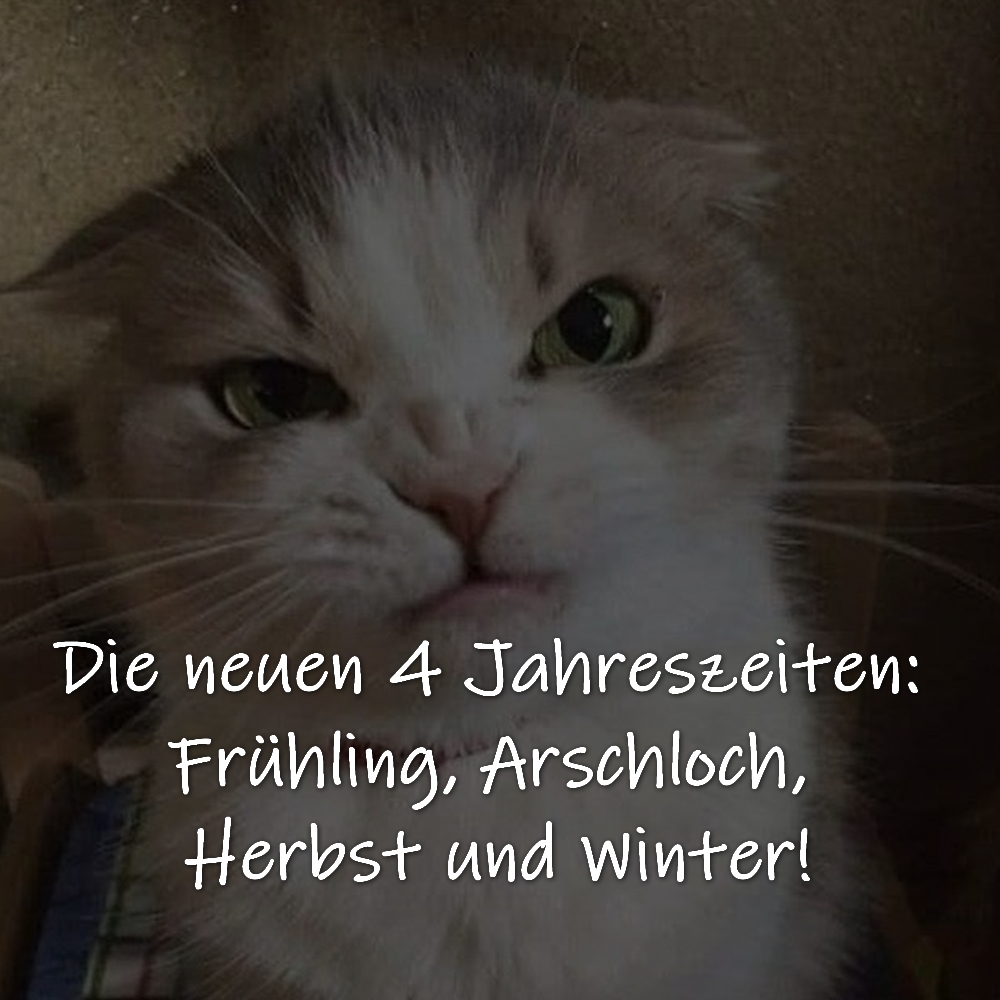 Jahreszeiten Frühling, Sommer, Herbst und Winter Gedichte, Zitate