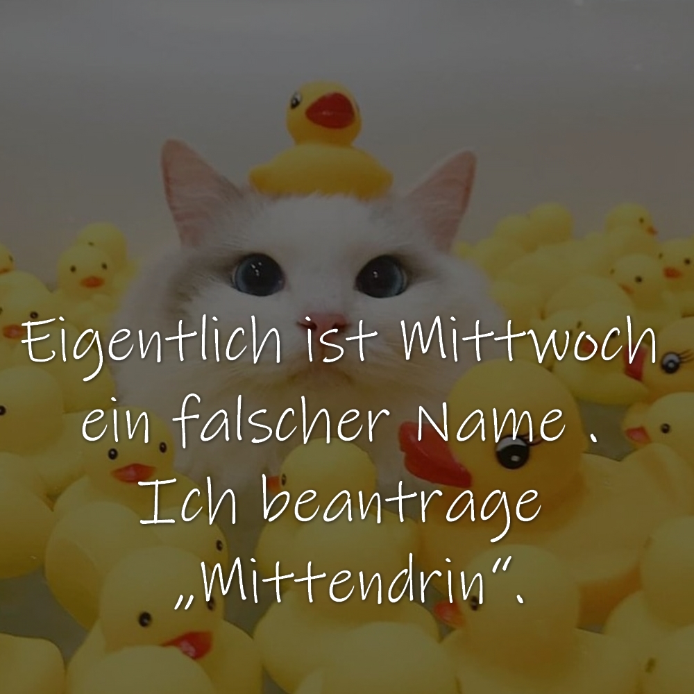 Mittwochsspruch Eigentlich ist Mittwoch ein falscher Name . Ich beantrage „Mittendrin“.