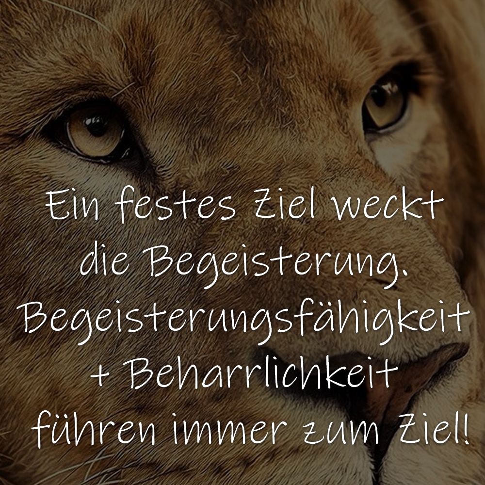 Ein festes Ziel weckt die Begeisterung. Begeisterungsfähigkeit + Beharrlichkeit führen immer zum Ziel!