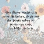 Weisheit Motivation Schönheit Spruchbild