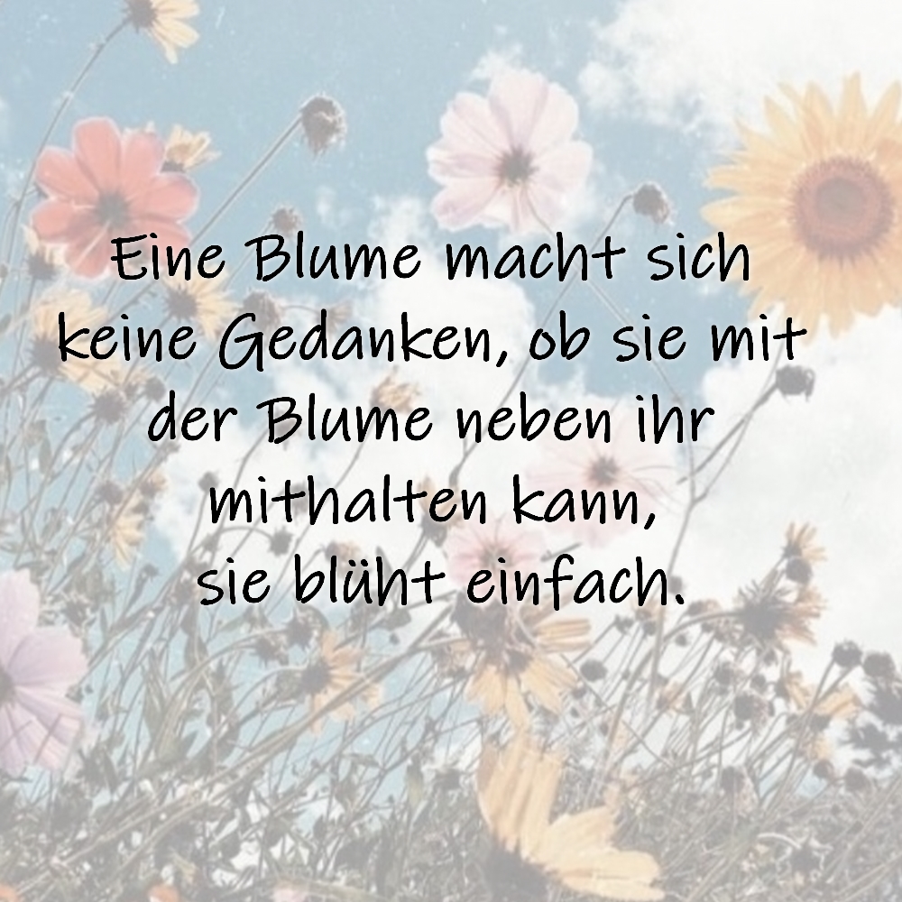 Eine Blume macht sich keine Gedanken, ob sie mit der Blume neben ihr mithalten kann, sie blüht einfach.