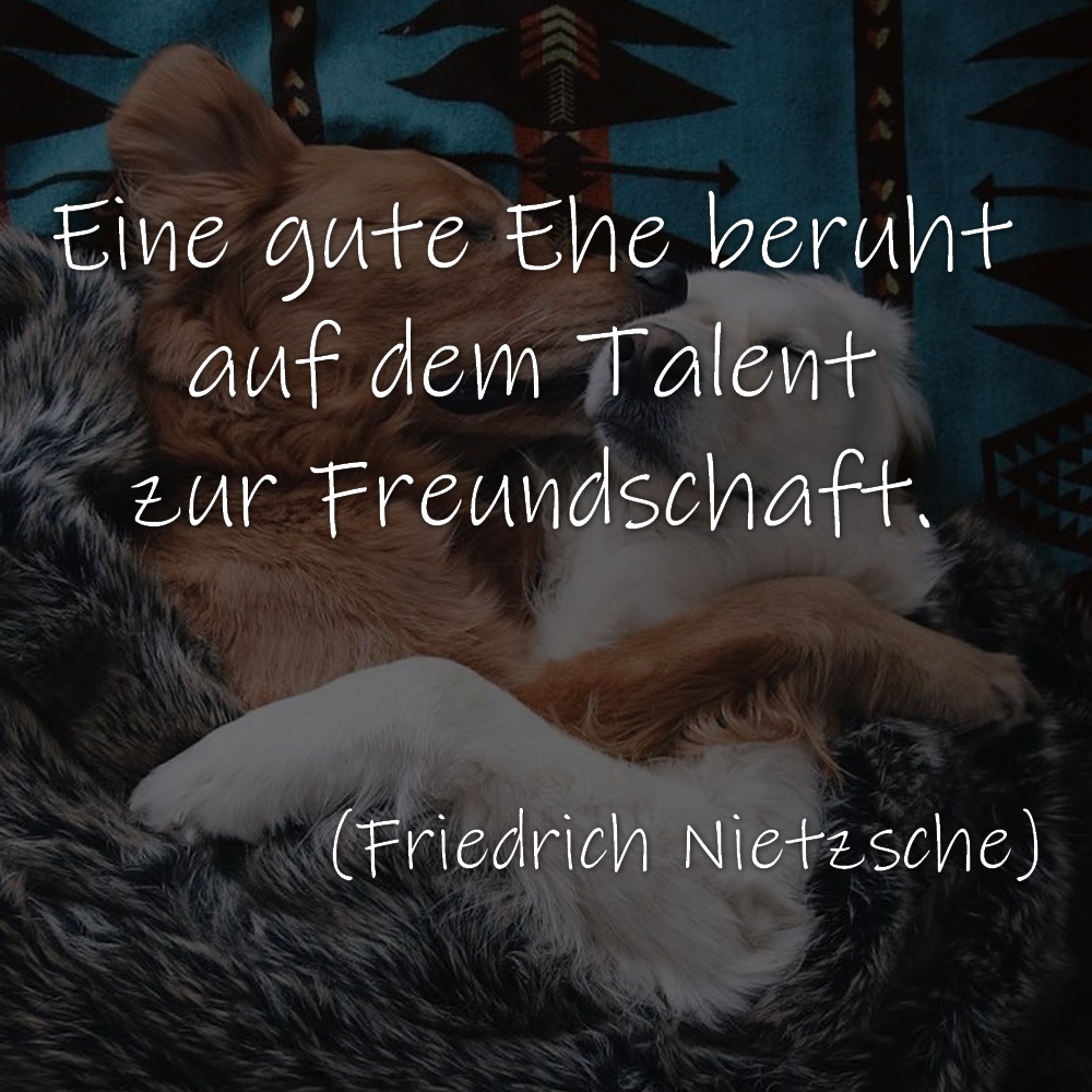 Hochzeitszitat Eine gute Ehe beruht auf dem Talent zur Freundschaft. (Friedrich Nietzsche)