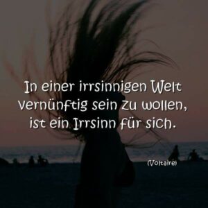 In einer irrsinnigen Welt vernünftig sein zu wollen, ist ein Irrsinn für sich.  (Voltaire)