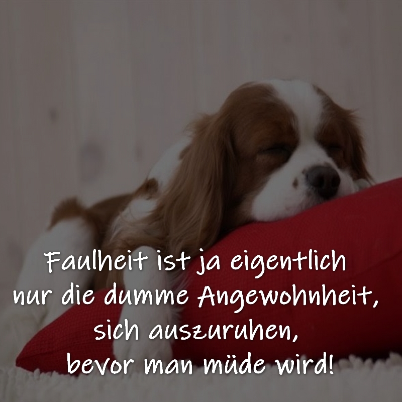 Faulheit ist ja eigentlich nur die dumme Angewohnheit, sich auszuruhen, bevor man müde wird!