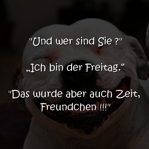 Freitagssprüche