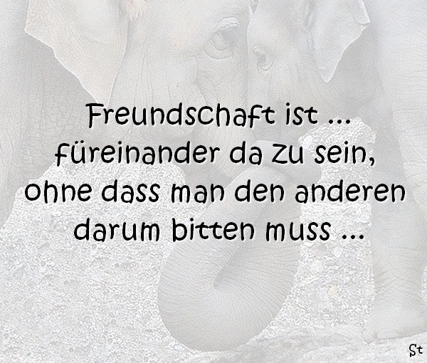 Freundschaft ist ... füreinander da zu sein, ohne dass man den anderen darum bitten muss ...