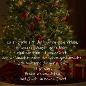 Es spiegeln sich die bunten Lichterlein,
in unseren Augen ganz klein.
Weihnachten ist angerückt,
der Weihnachtsbaum ist schon geschmückt.
Ich wünsche dir vor allem, ist ja klar:
Frohe Weihnachten und Glück im neuen Jahr!