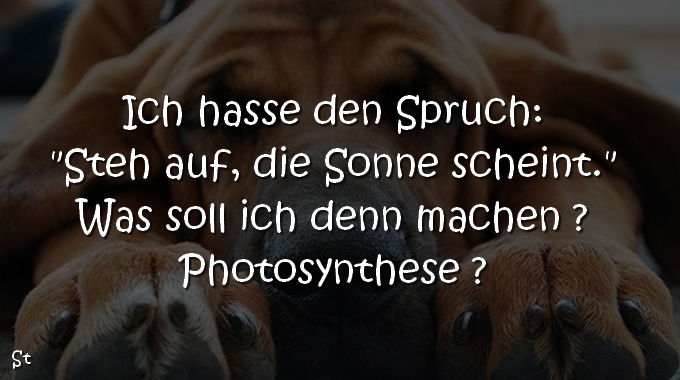 Ich hasse den Spruch:
„Steh auf, die Sonne scheint.“
Was soll ich denn machen ?
Photosynthese ?