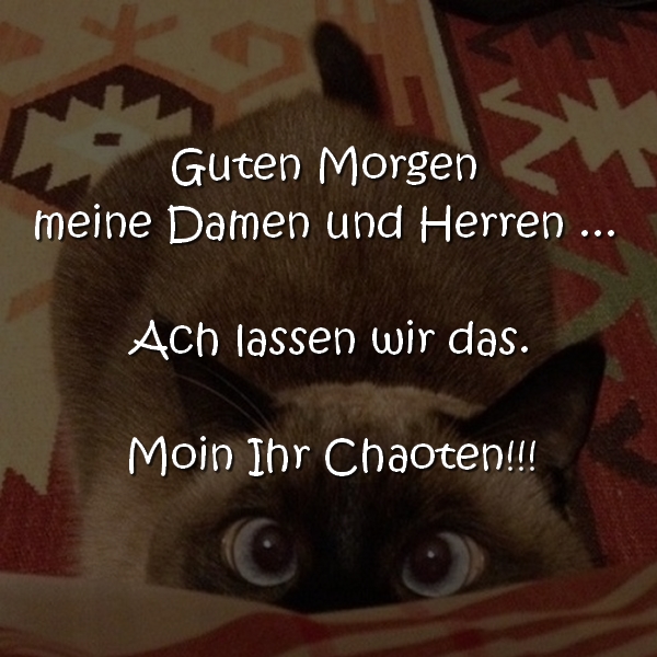 Lustige Guten Morgen Grüße für WhatsApp Status, Facebook oder Instagram Posting wie: Guten Morgen meine Damen und Herren ... ach lassen wir das Moin ihr Chaoten