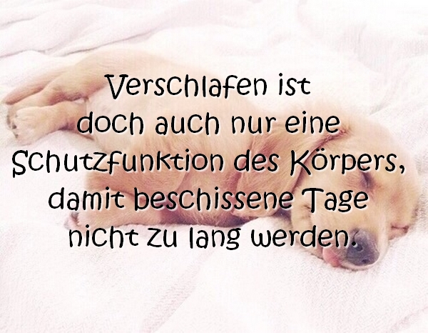 Guten Morgen Verschlafen ist doch auch nur eine Schutzfunktion des Körpers, damit beschissene Tage nicht zu lang werden.